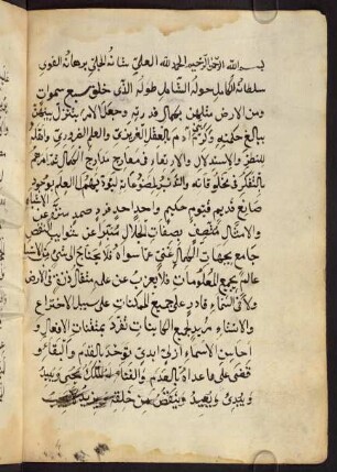 2. Ein längerer Preis Allahs und des Propheten.