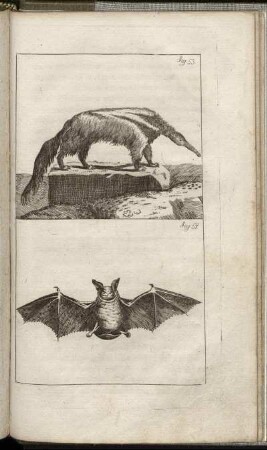 Fig. 53. - Fig. 54.