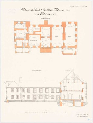 Universität Münster Naturhistorisches Museum: Grundriss Keller, Aufriss Seitenansicht 1:100