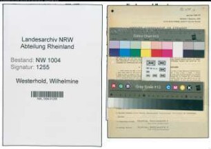 Entnazifizierung Wilhelmine Westerhold , geb. 14.11.1910 (Buchhaendlerin)
