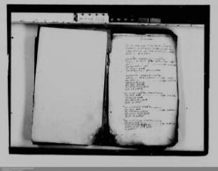 . Kriegsnöte der Grafschaft Nassau-Diez: Band 32