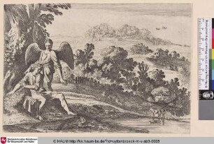 [Tobias vom Fisch erschreckt; Tobias frightened by the Fish]