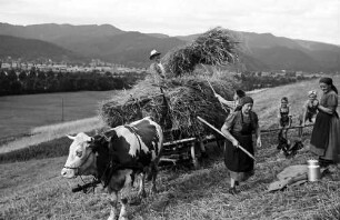 Kappel: Einbringen der Ernte mit Wagen, Schwarzwald