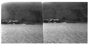 Isafjord/ Norwegen: Transiederei. Transiederei am Ufer des Fjords und Walfänger mit Beute