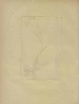 Klebebände, Band 25, Seite 50