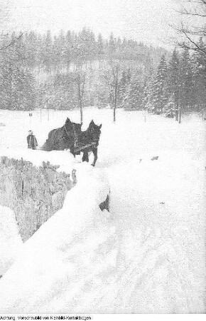 Winter, Landschaften, Max Hille beim Skilauf, beleuchteter Weihnachtsbaum, Januar-Februar 1956