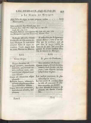 XII. Genus Strigis.