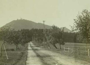Hohenrechberg bei Schwäbisch Gmünd mit Wallfahrtskirche und Ruine Rechberg. Blick aus dem Vorland mit Obstbaum-Allee entlang einer ungepflasterten Landstraße