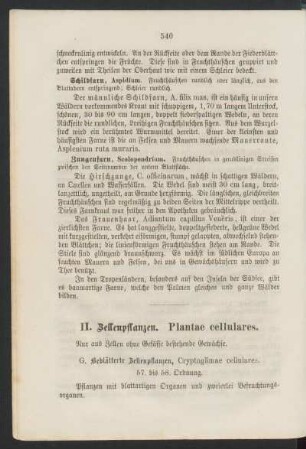 II. Zellenpflanzen. Plantae cellulares.