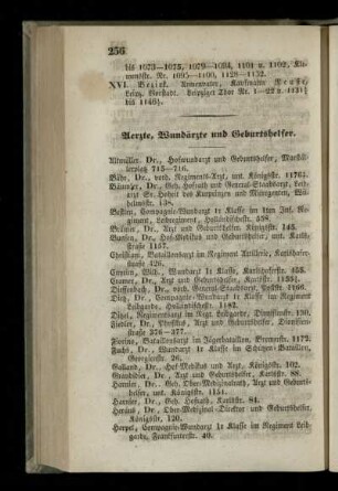 Aerzte, Wundärzte und Geburtshelfer