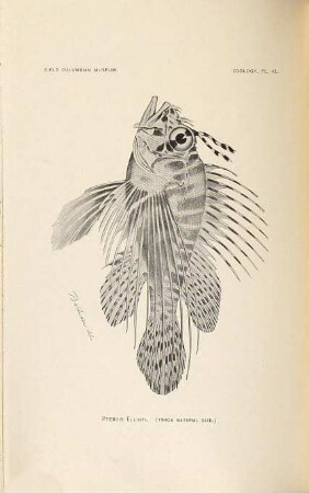List of fishes and reptiles obtained by Field Columbian Museum East African expedition to Somali-Land in 1896