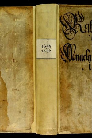 Ratsprotokolle, 1655 Juli 31. - 1656 Juli 24.