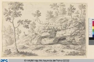 Hang eines Hügels mit Felsblöcken und Bäumen