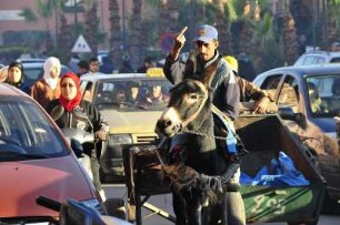 Stinkefinger für den Fotografen : Straßenverkehr in Marrakesch, aufgenommen am 04.11.2008