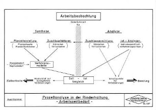 Prozeßanalyse in der Rinderhaltung - Arbeitszeitbedarf