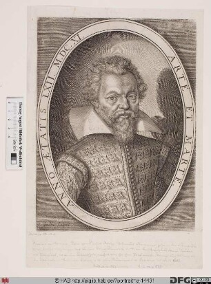 Bildnis Philippe de Mornay, seigneur du Plessis-Marly