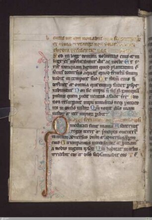 Psalterium non feriatum