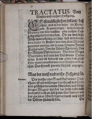 Tractatus Vom Weissen und rothen Hoffgang