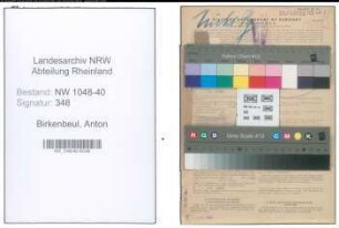 Entnazifizierung Anton Birkenbeul , geb. 29.01.1910 (Angestellter)