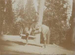 Yosemite: a guard - regular american rifleman