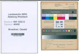 Entnazifizierung Oswald Brueckner, geb. 17.06.1898 (Schneider)