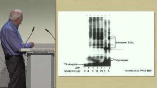 Lessons from the Discovery of the Ubiquitin System