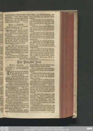 Der Prophet Joel.