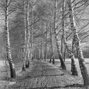 Landschaftsbild. Frühling im Spreewald. Leiper Weg. Heuschober. Die Wiesen sind überschwemmt. : Wobraz krajiny. Nalěćo w Błótach. Puć w Lipjem. Kopjena (Stogi). Łuki su přepławjene.