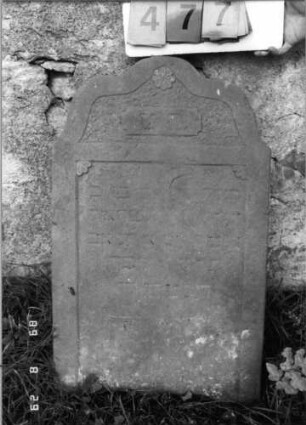 Grabstein 477 (Index: 100107296) Material: gelber Sandstein Zustand: versalzen, stark verwittert, weitgehender Textverlust Maße HxBxT: 87x52x8 cm Beschreibung: Stele, geschwungen eingezogener flacher Kleeblattbogenabschluß, Schriftfeld rechteckig eingetieft: Grabstein 477