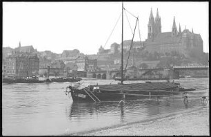 Meißen. Albrechtsburg - Elbe mit Schleppzug und Lastkahn