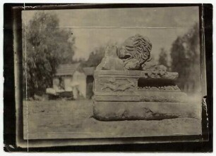 S. [Saul] Hurwicz [?]. Bella Vista. Jaffa. Bei Jaffa [Tel Aviv] gif [?]