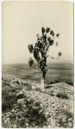 [Baalbek, Schech Abdallah]