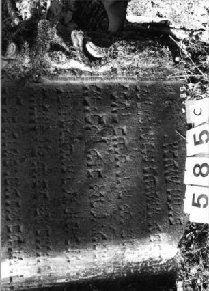 Grabstein 585 (Index: 99753080) Material: Sandstein Zustand: leicht verwittert Maße HxBxT: 160x101x18 cm Beschreibung: Stele, geschwungen eingezog. Rundbogenabschl. , Schriftfeld eingetieft Symbolik: Pinienzapfen, Ranken, Muscheln, Voluten, Schriftband Besonderheit: Zitat angelehnt an Deuteronomium 34, 5: Grabstein 585C (Nachholaufnahme)