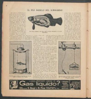 El pez modelo del submarino