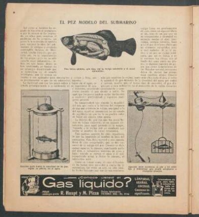 El pez modelo del submarino