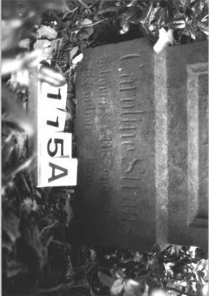 Grabstein 115 (Index: 100114277) Material: Sandstein Zustand: verwittert mit Textverlust Maße HxBxT: 80x38x18 cm Beschreibung: Stele, Sockel, obeliskenartiger Abschluß, eingetieftes Schriftfeld mit Rundbogen Besonderheit: Kindergrab: Grabstein 115A