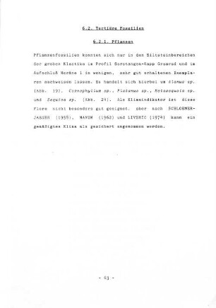 6.2. Tertiäre Fossilien.