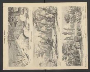 Die Welt in Bildern, achter Bogen: Winter-Landschaft in Canada, Wettrennen bei den Indianern, Gegend von Colorado