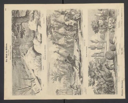 Die Welt in Bildern, achter Bogen: Winter-Landschaft in Canada, Wettrennen bei den Indianern, Gegend von Colorado