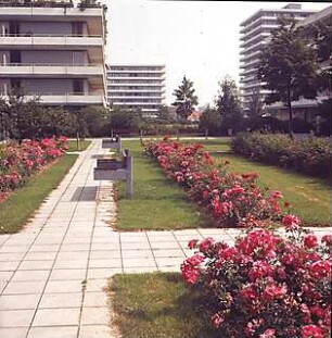 Hansjakob, Gottfried; München - Englschalking, Englschalkingerst. / Elektrastr.; Wohnanlage Cosimapark und Wohnanlage an der Englschalkinger-/ Elektrastraße - Cosimapark, Außenanlage, Rosenbeete und Sitzbänke, Blick in die Wohnanlage