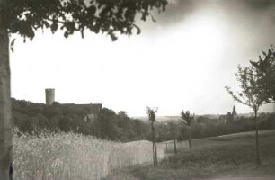 Gnandstein. Ortsansicht mit Burg. Blick von der Straße nach Wolftitz