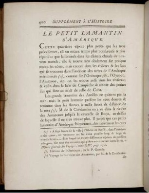 Le Petit Lamantin D'Amérique.