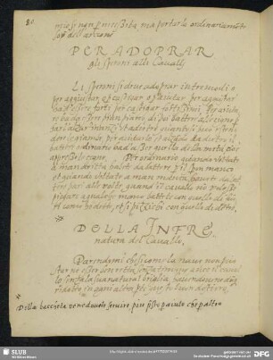 [Text 7:] Della infrenatura del cavallo
