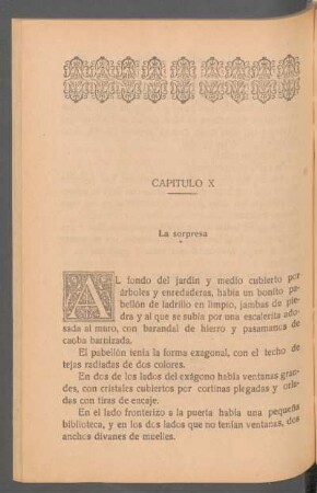 Capítulo X - La sorpresa
