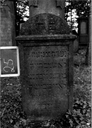 Grabstein 25 (Index: 100111054) Material: Sandstein Zustand: leicht verwittert Maße HxBxT: 100x50x10 cm Beschreibung: Stele, Abdeckplatte mit Segmentbogenaufsatz, rechteckiges Schriftfeld eingetieft: Grabstein 25
