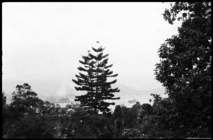 Keine Beschreibung [Honkong: Blick aufs Meer, Vordergrund Bäume]