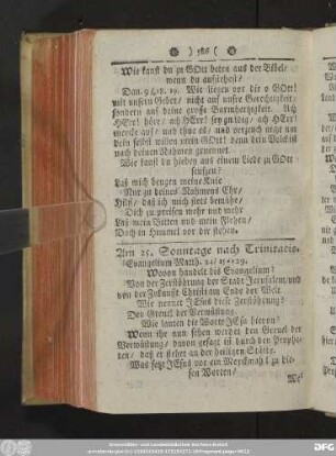 Am 25. Sonntage nach Trinitatis.