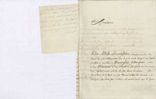 Fischer von St. Blaise an Karoline Luise von Baden (Bern)