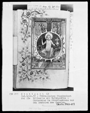 Deutsches Gebetbuch (Waldburg-Gebetbuch) — Schmerzenskind im Strahlenkranz, Folio 23verso