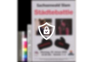 Sachsenwald-Slam, Städtebattle, Schloss Reinbek, 28. Januar 2020
